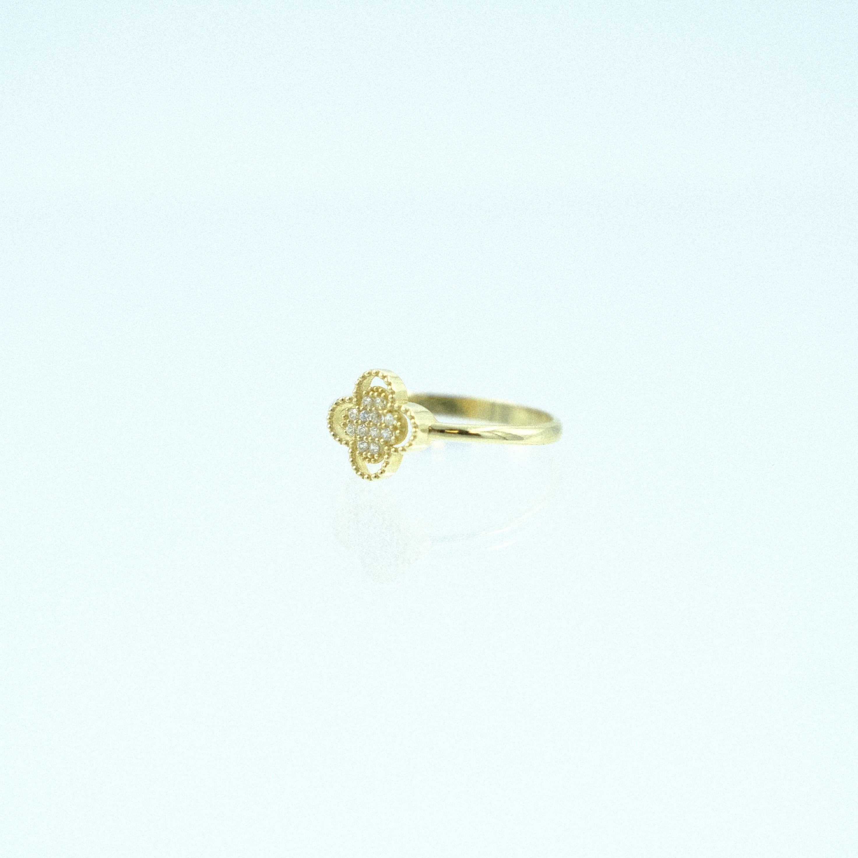 Solis-YZ000029