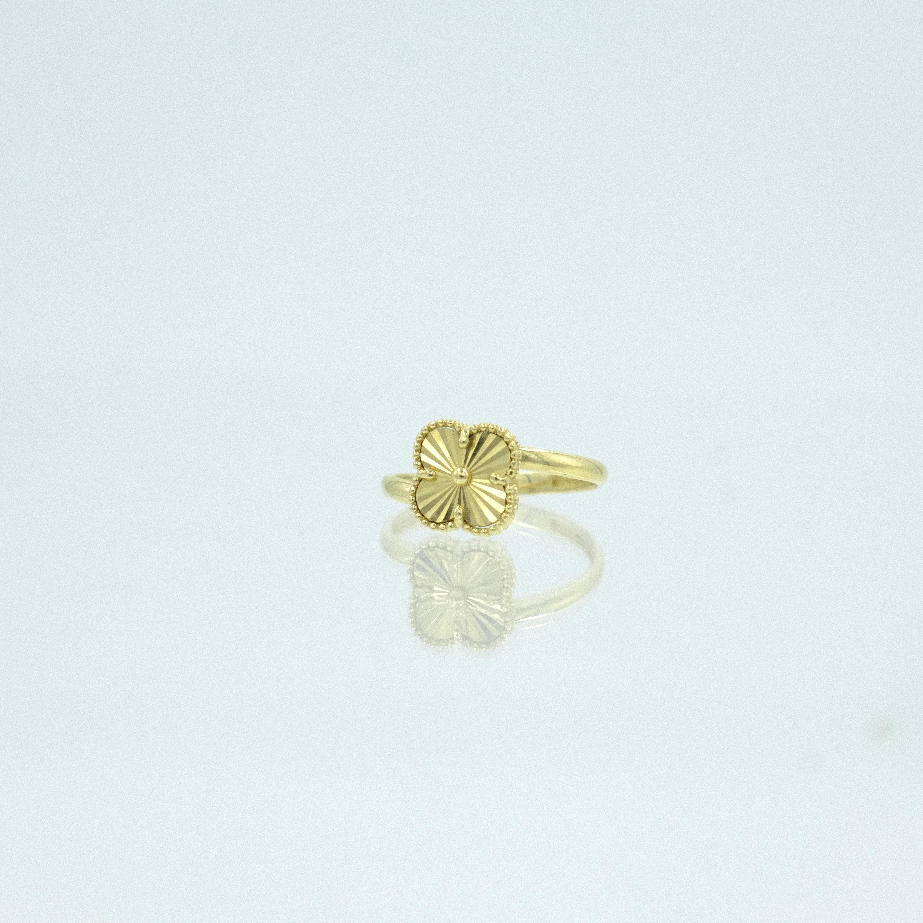 Solis-YZ000957