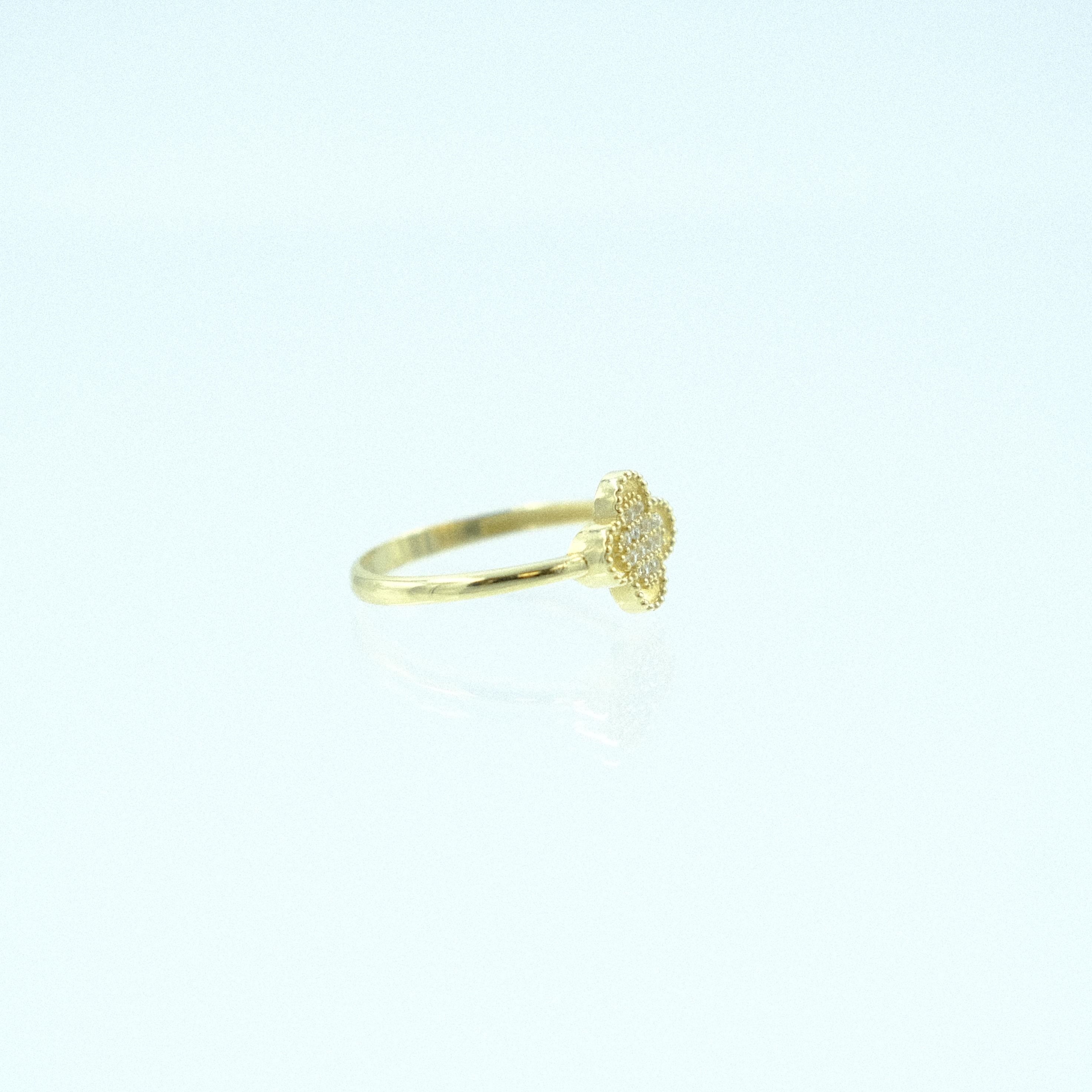 Solis-YZ000029