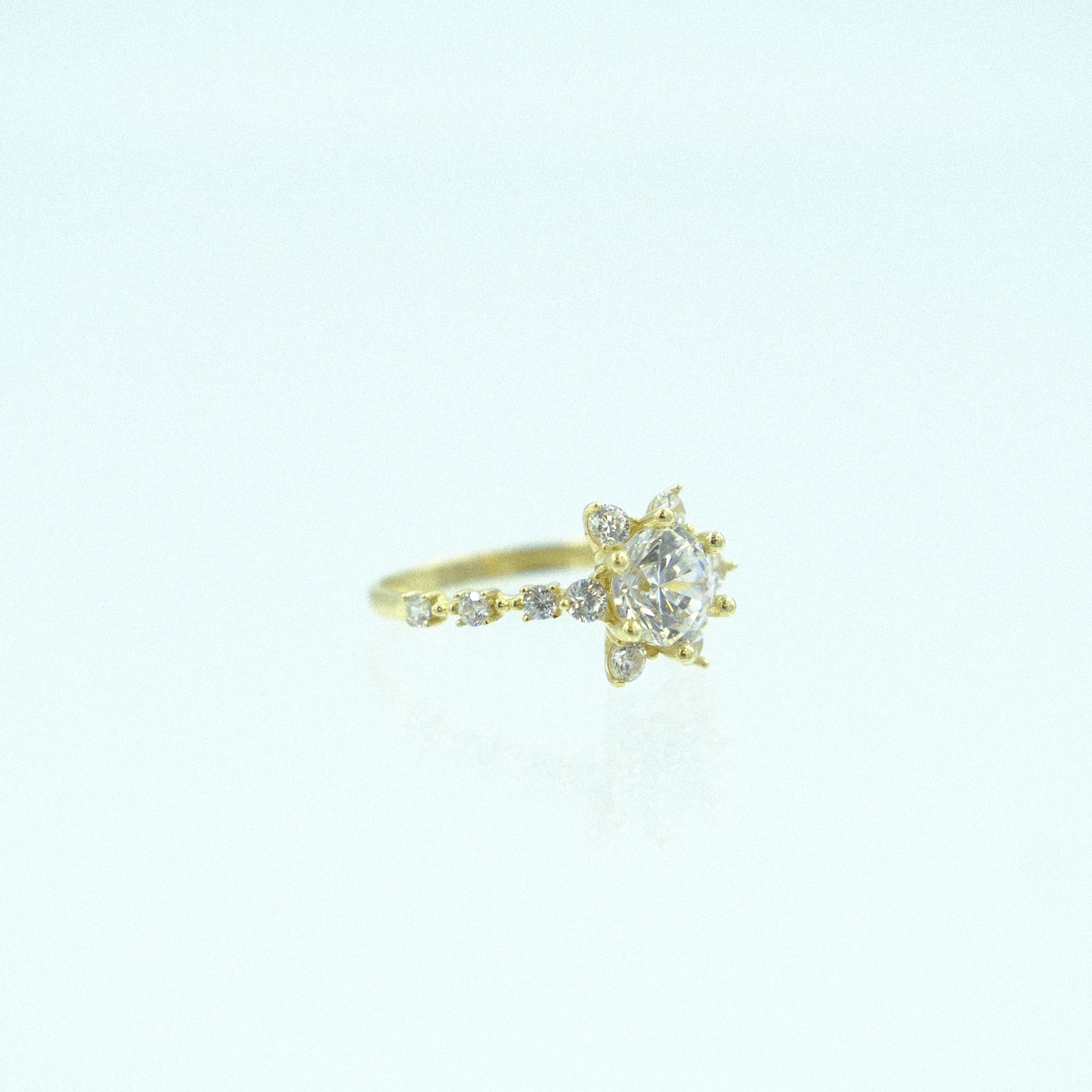 Solis-YZ000039