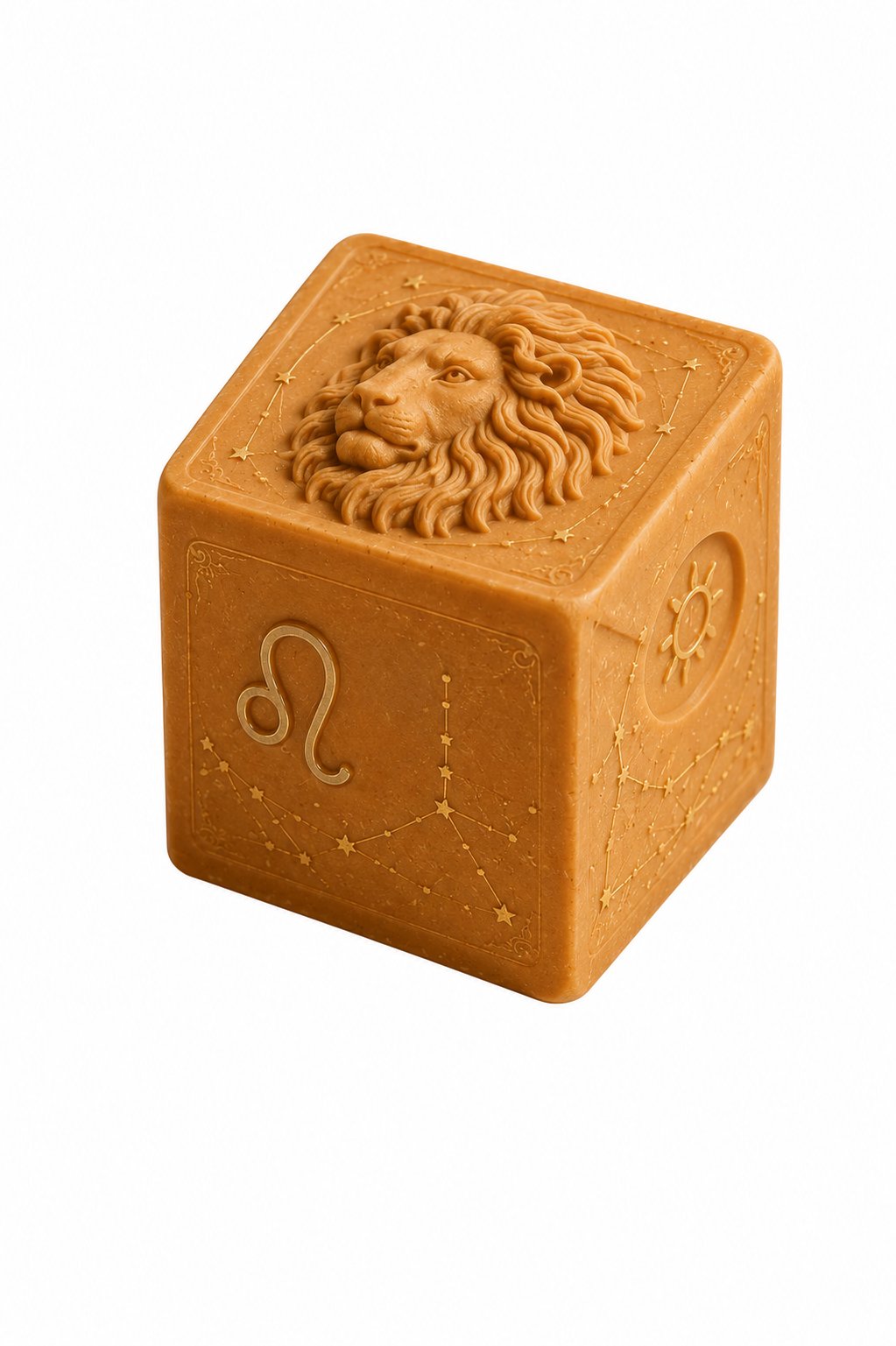 ASLAN | LEO™