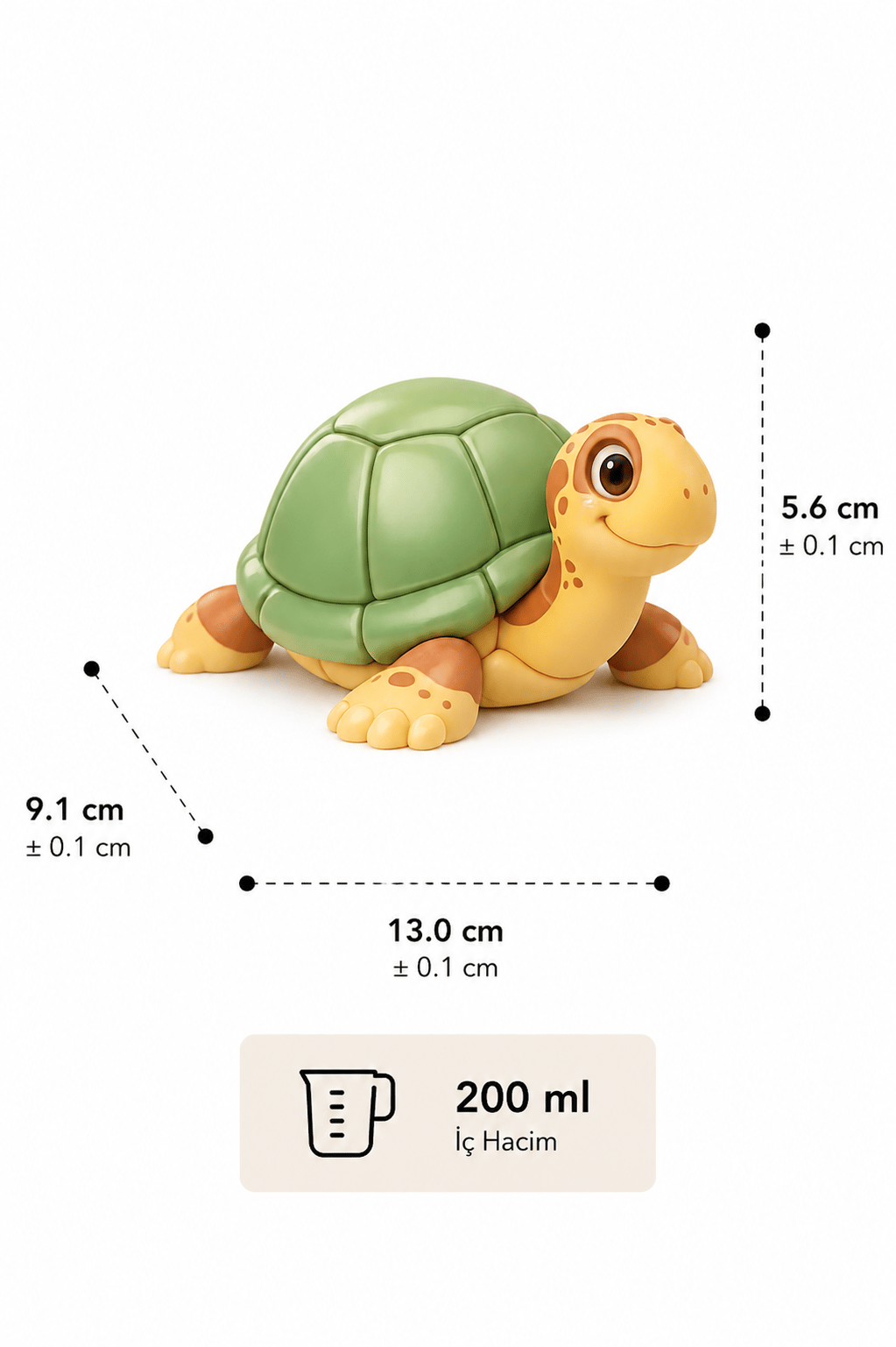 Little Turtle | Kaplumbağa