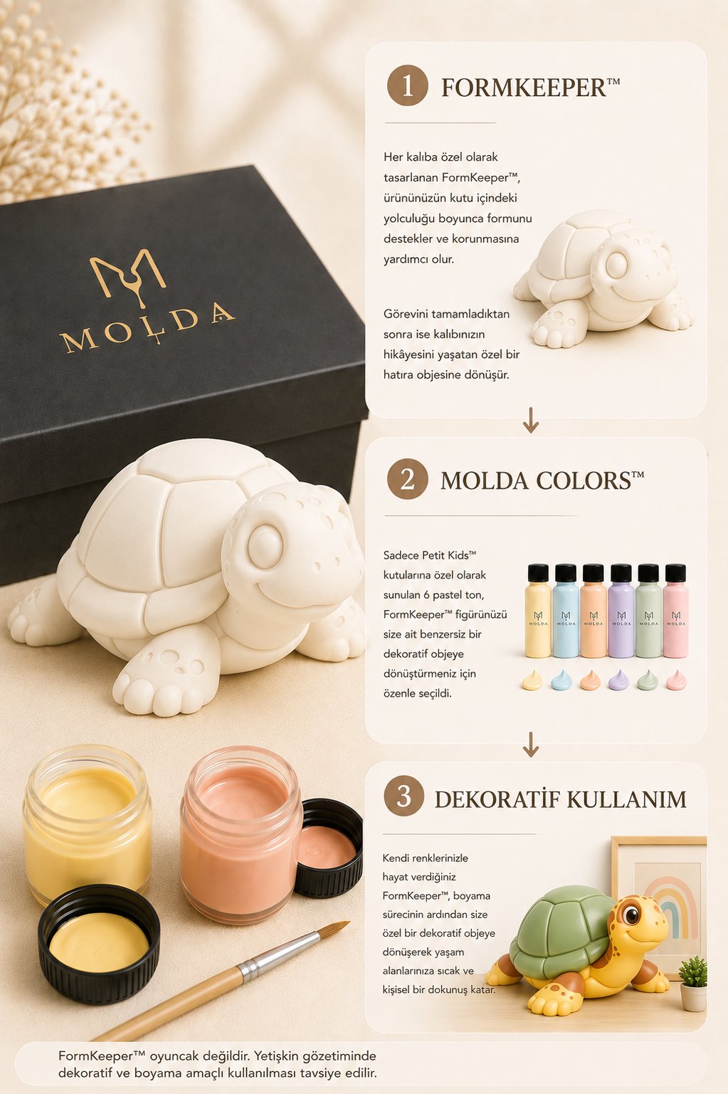 Little Turtle | Kaplumbağa