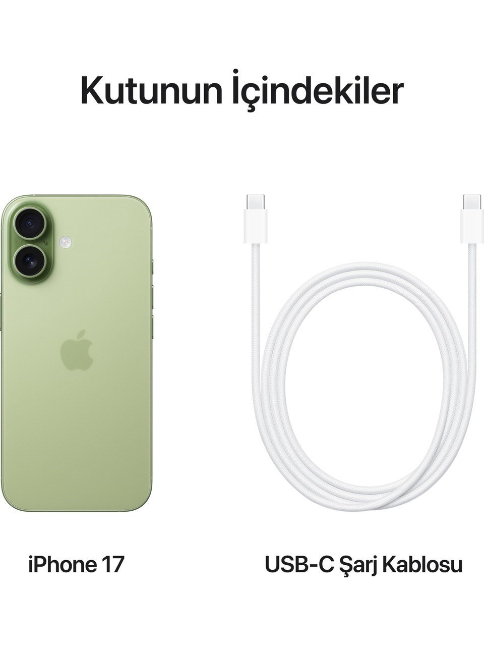 APPLE İPHONE 17 256 GB ADAÇAYI
