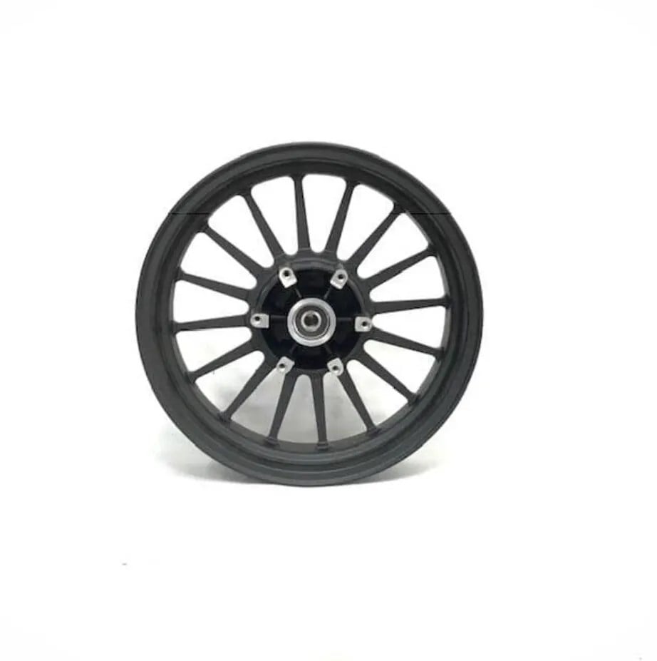 REGAL RAPTOR DAYTONA 250ARKA JANT