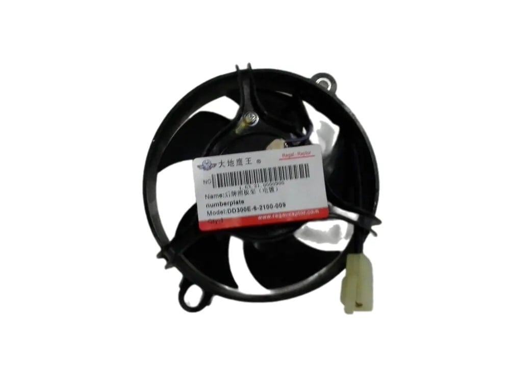 REGAL RAPTOR PİLDER 125 FAN MOTORU