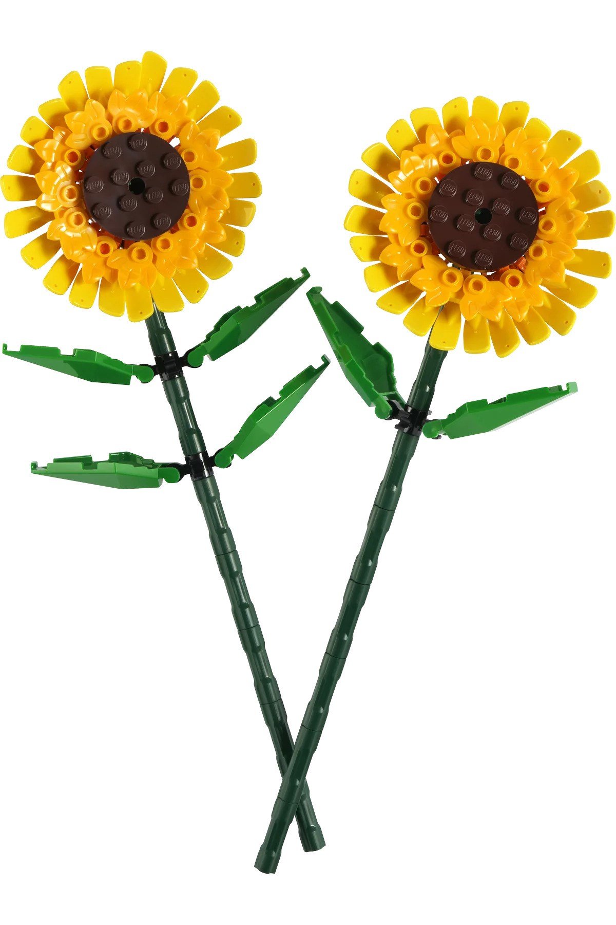 ® Botanicals Ayçiçeği 40524 - 8+ Yaratıcı Çiçek Model Yapım Seti (191P)