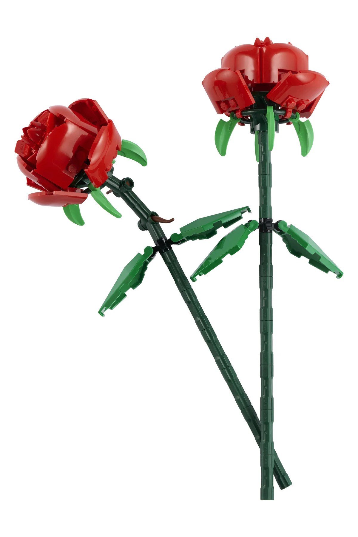 ® Botanicals Gül 40460 - 8+ Dekoratif Çiçek Model Yapım Seti (120Parça)