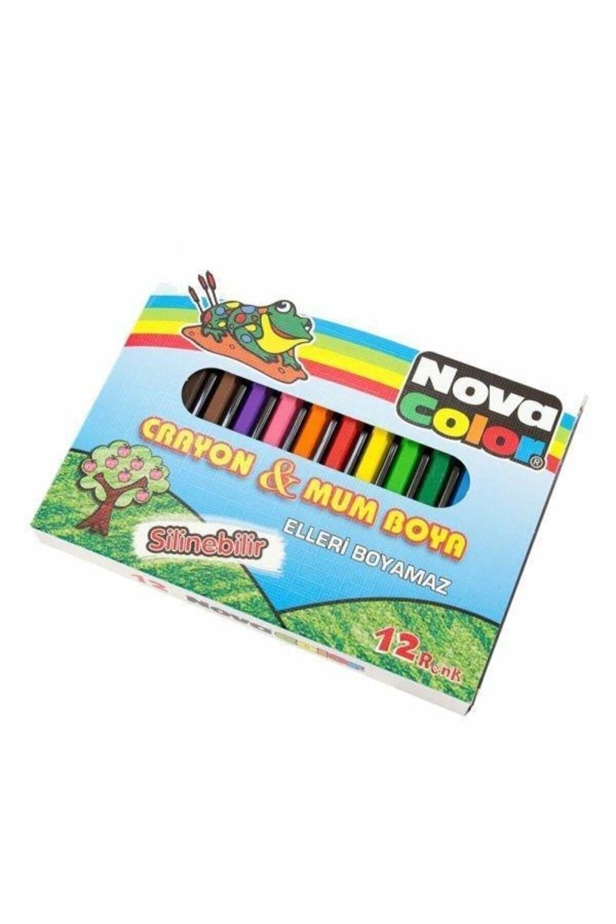 12 Renk Pastel Boya
