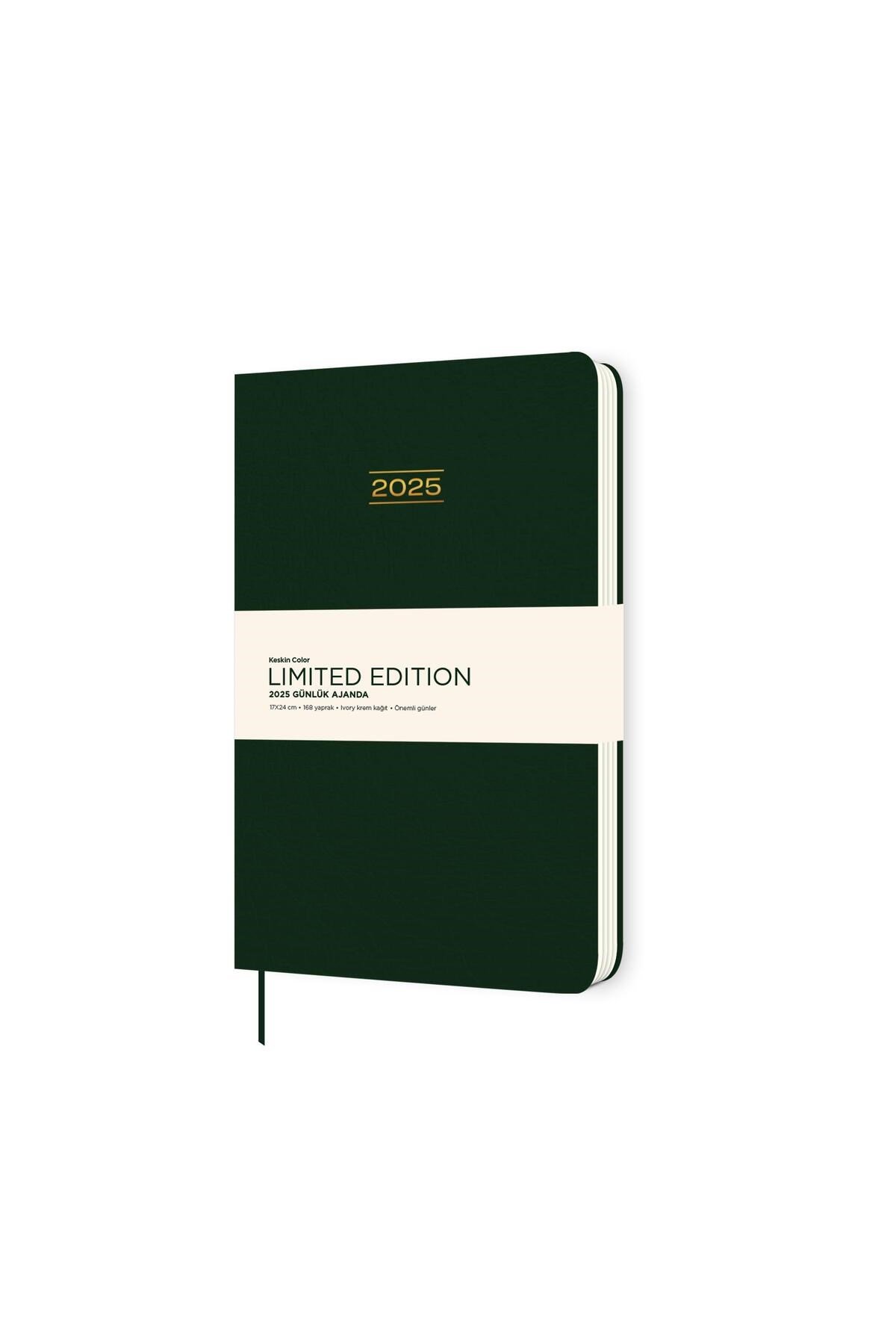 2025-17*24 Ciltli Limited Edition Günlük Ajanda - Yeşil