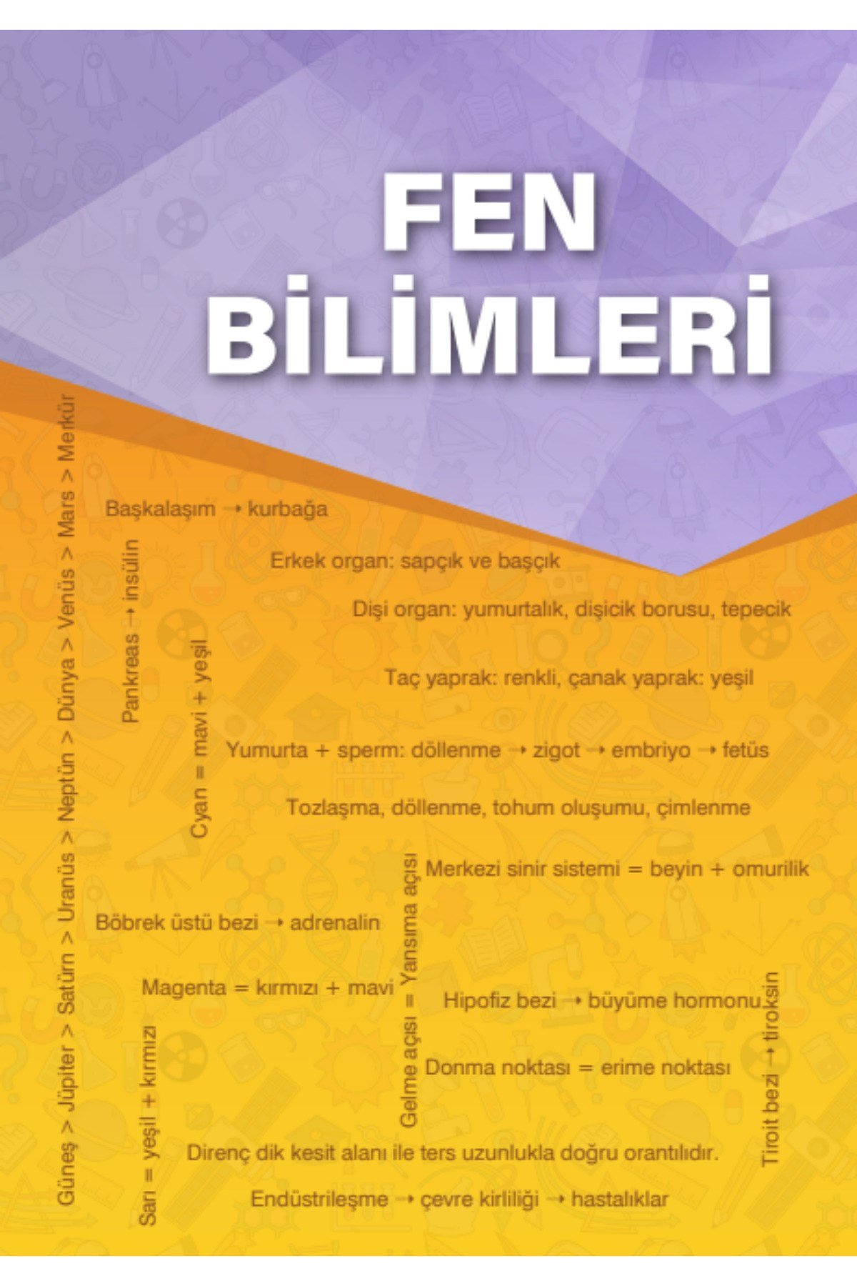 6. Sınıf Tüm Dersler Soru Bankası
