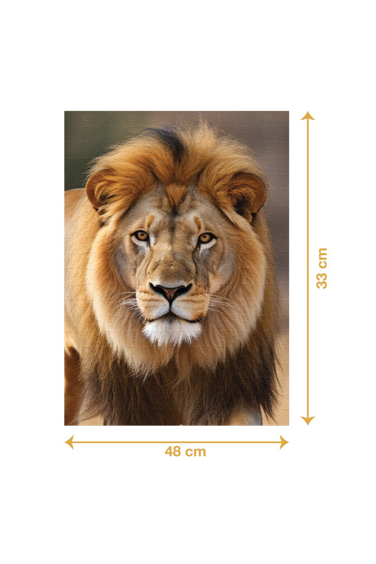 ASLAN PUZZLE 200 PARÇA
