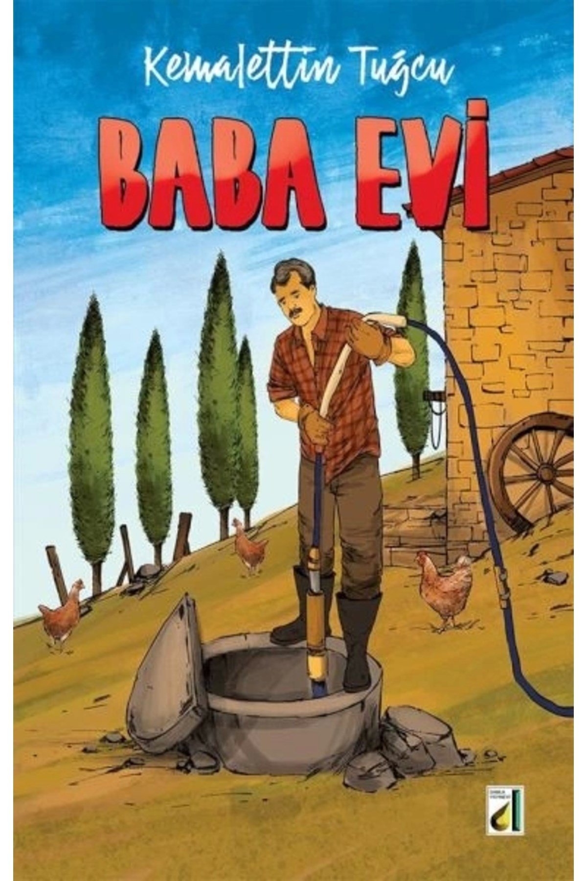 Baba Evi