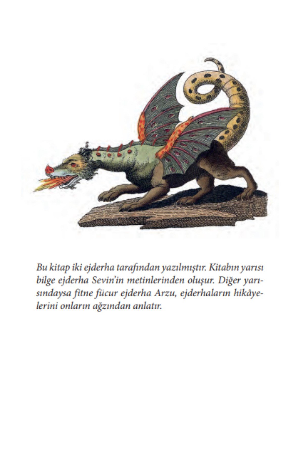 Ejderha: Kadim Zamanlardan Günümüze Sevdiğimiz Ejderhalar