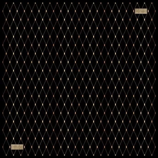 LA BOUTIQUE CLASSICAL TWILL 2157-09 EŞARP