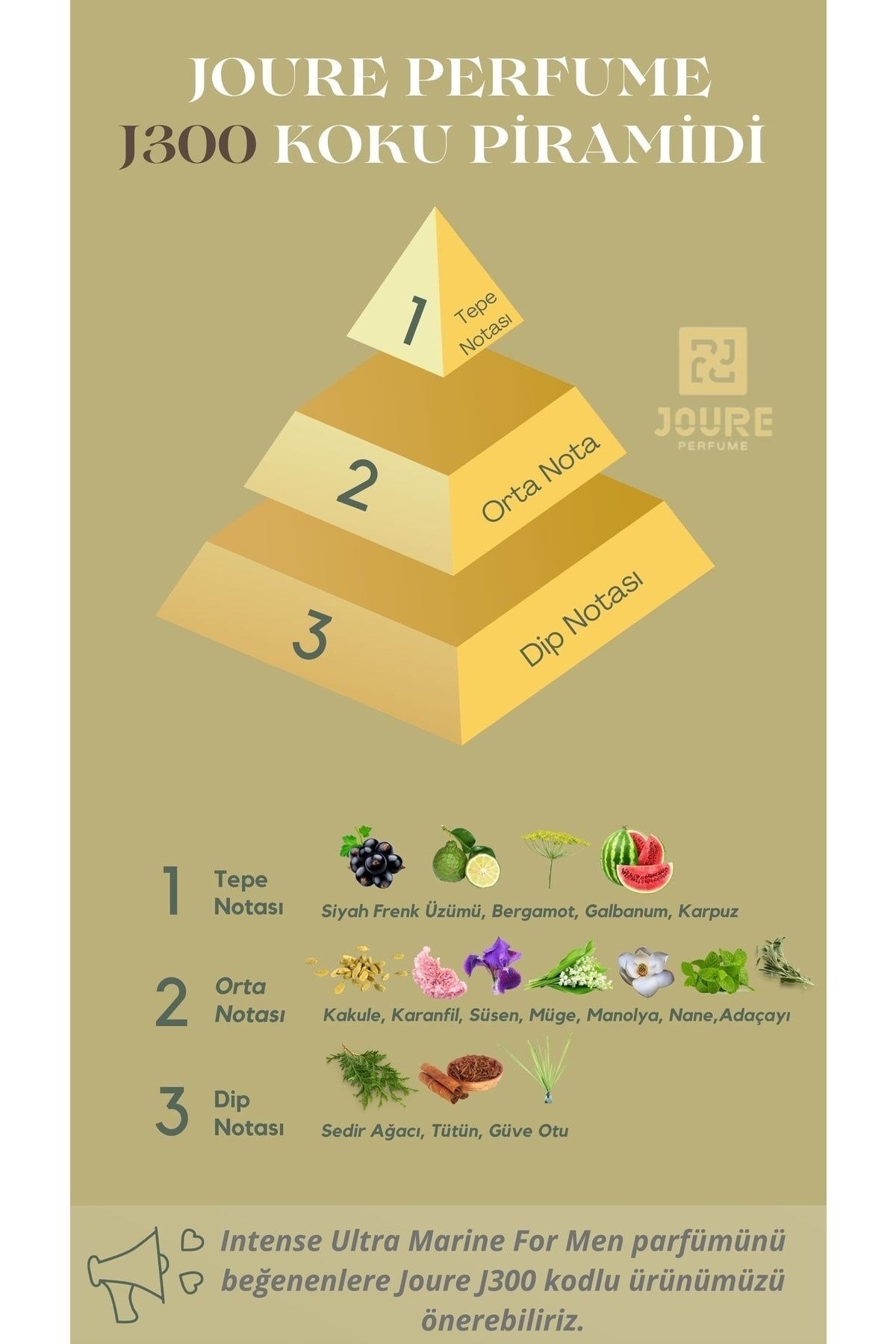 Joure J300 - Aromatik Meyveli Ferah Kokulu 50ml Kalıcı Edp Erkek Parfüm