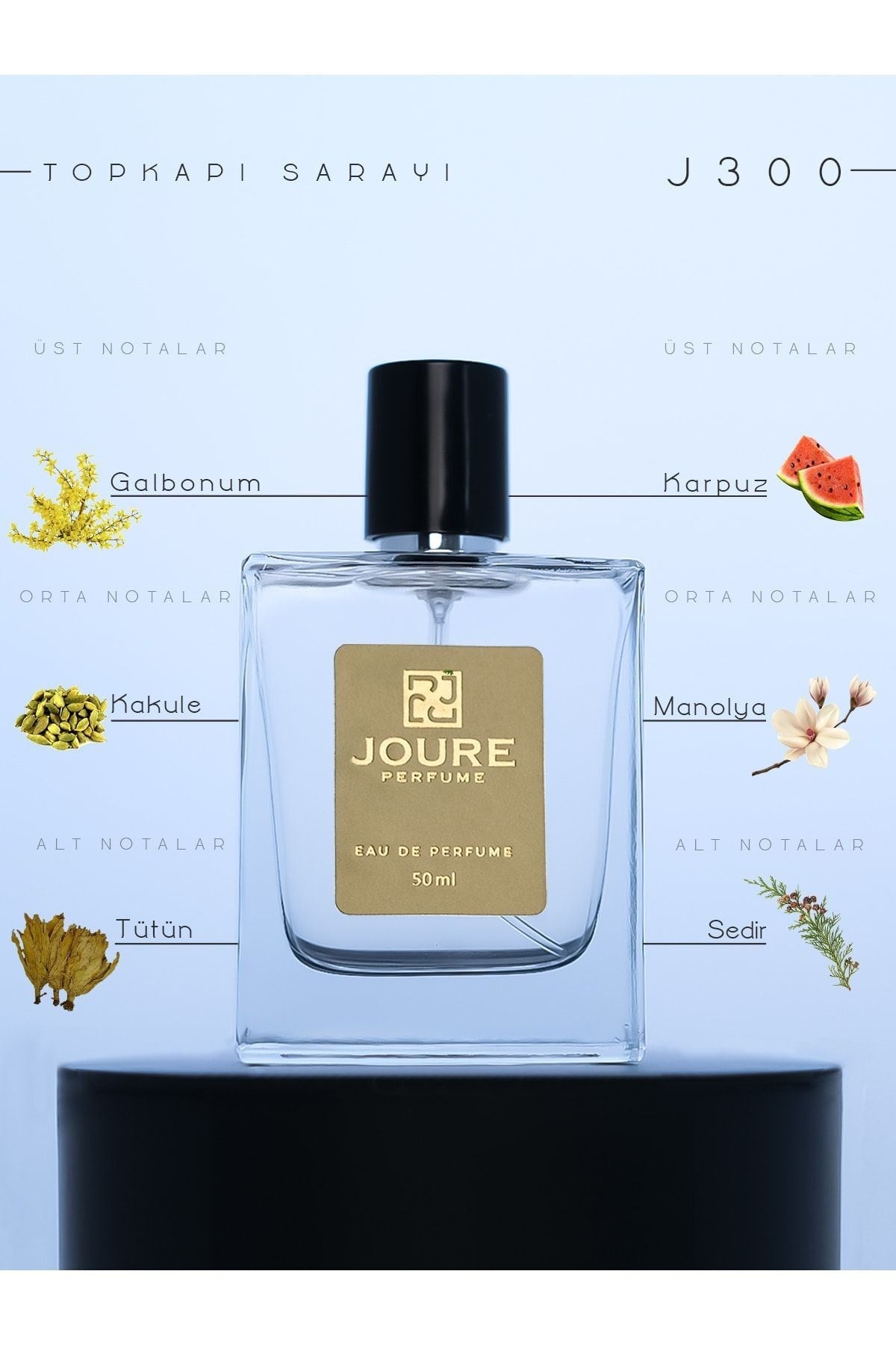 Joure J300 - Aromatik Meyveli Ferah Kokulu 50ml Kalıcı Edp Erkek Parfüm