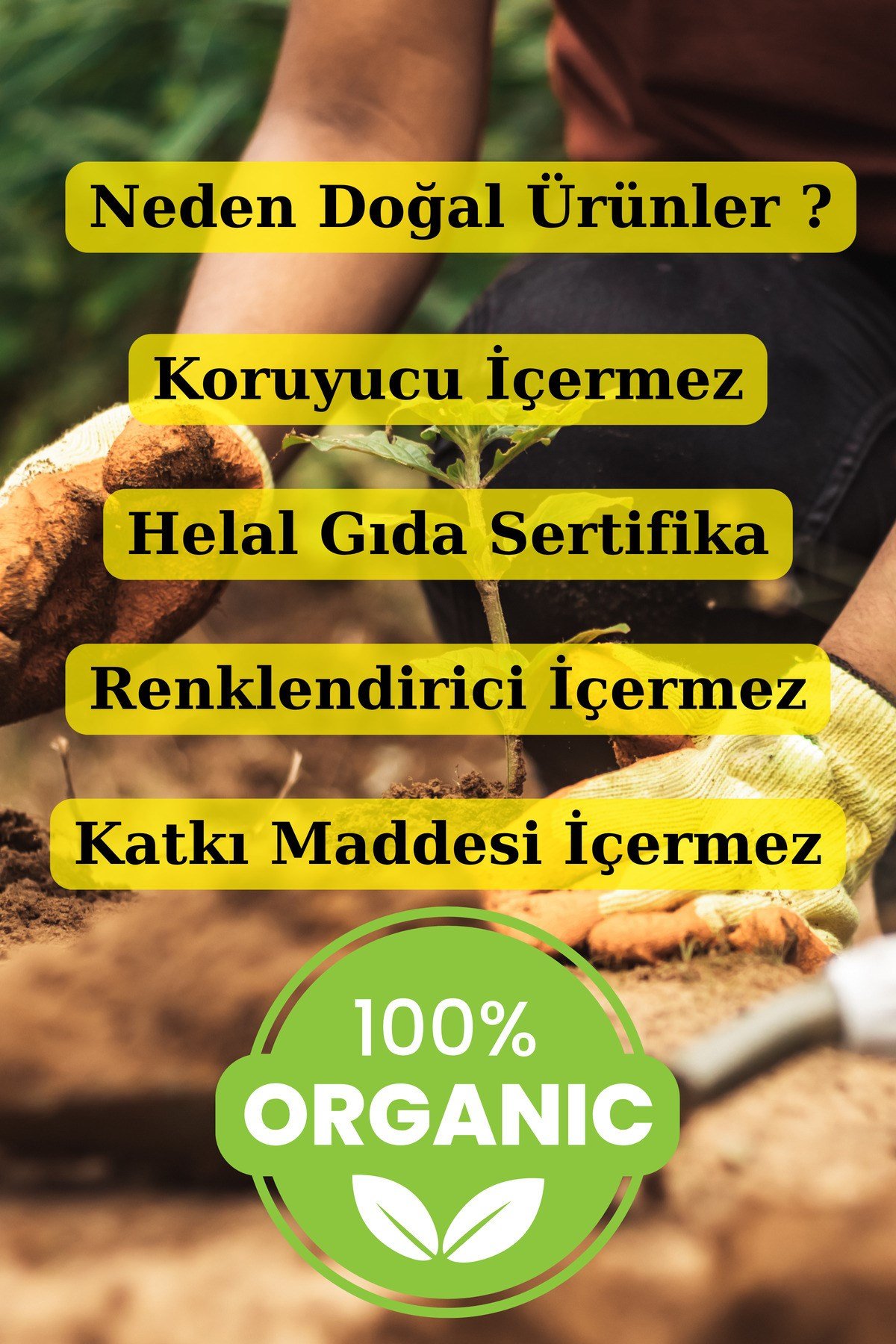 Akgünlük Sakızı Sığla Ağacı Reçine Günlük Bitkisi %100 Doğal Bahur 100 Gr