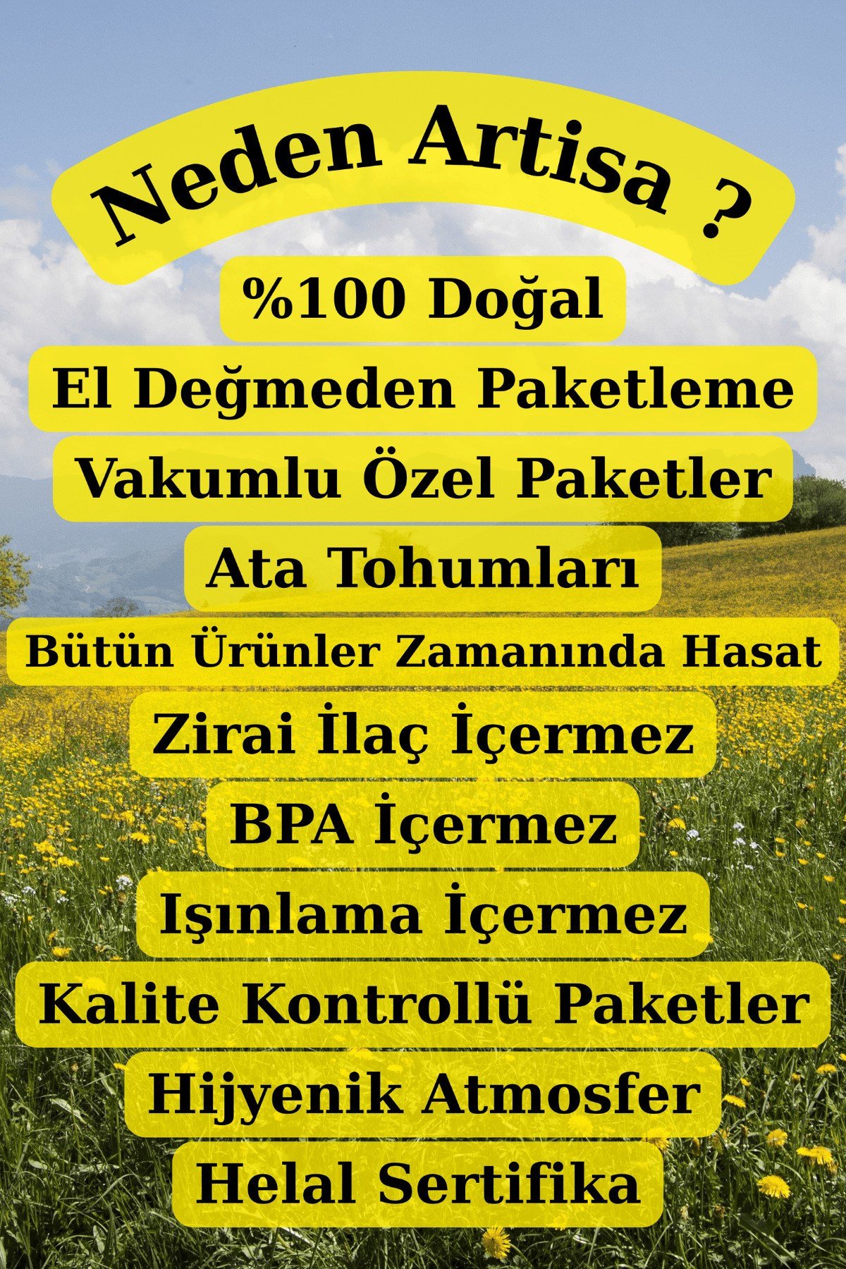 Akgünlük Sakızı Sığla Ağacı Reçine Günlük Bitkisi %100 Doğal Bahur 100 Gr