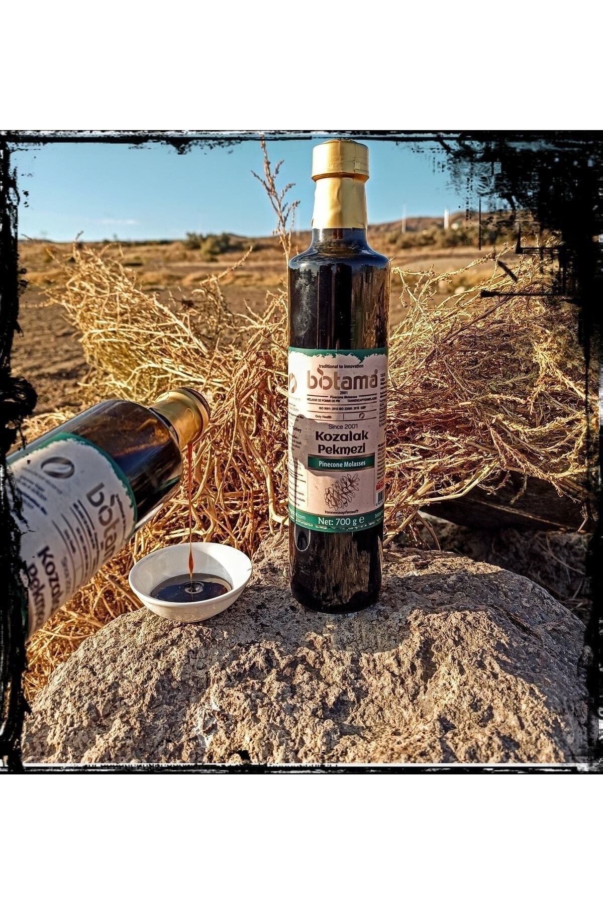 Çam Kozalağı Pekmezi 700 G %100 Doğal