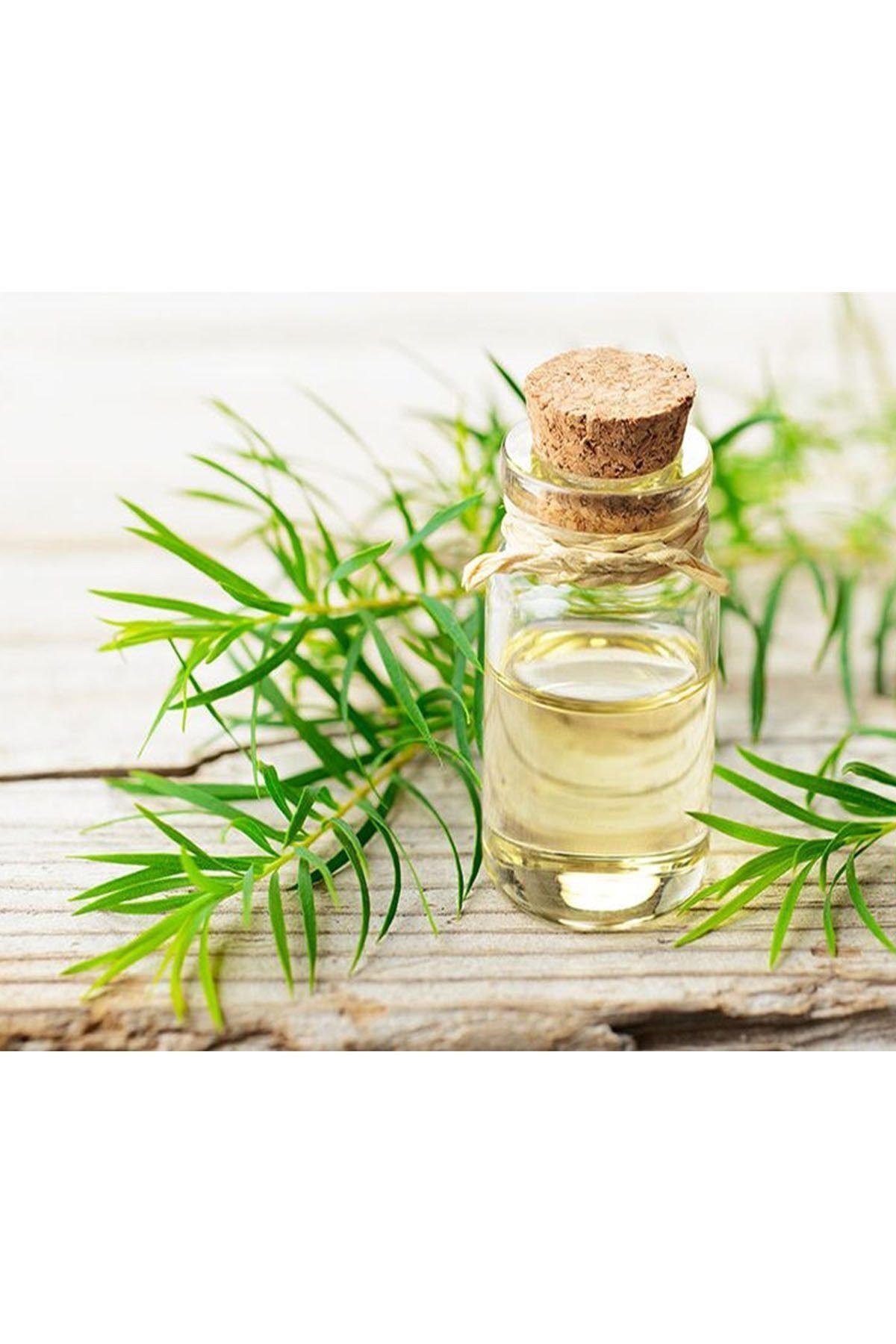 Çay Ağacı Hint Defnesi Yağı Saf Katkısız Orjinal 20 ml