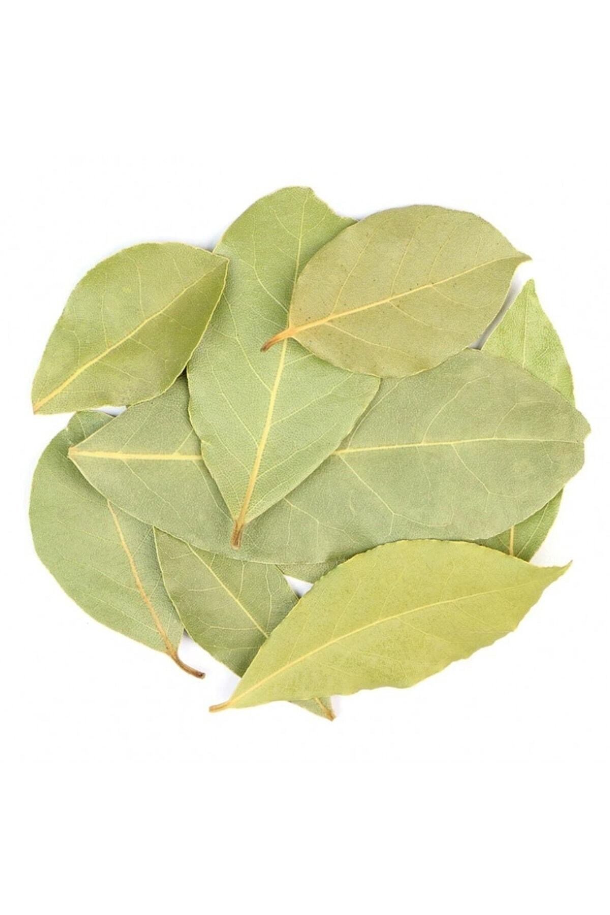 Defne Yaprağı 35 Gr