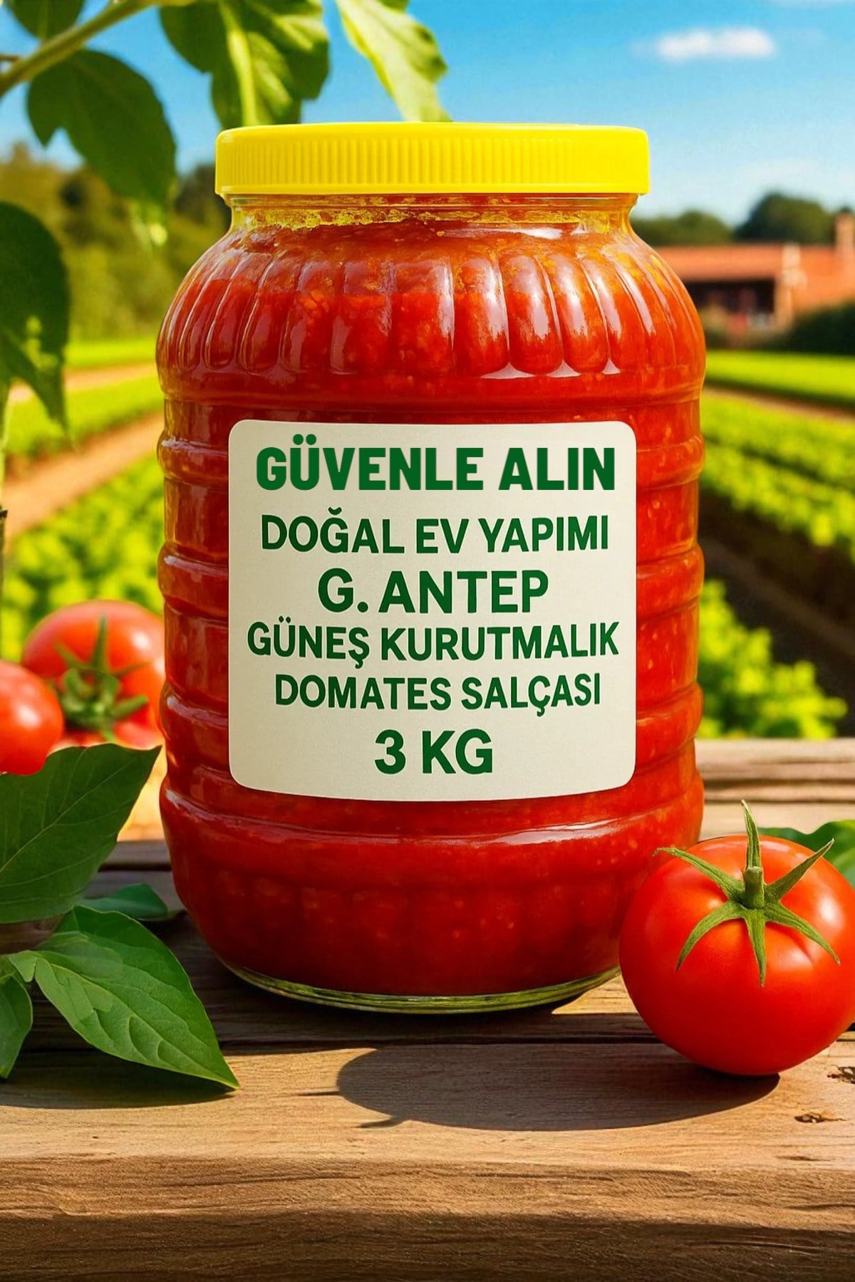 G. ANTEP DOĞAL EV TİPİ KATKI MADDESİZ DOMATES SALÇASI 3 Kg