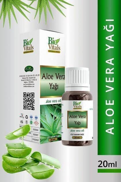 aloe-vera-yagi-7230ed.jpg