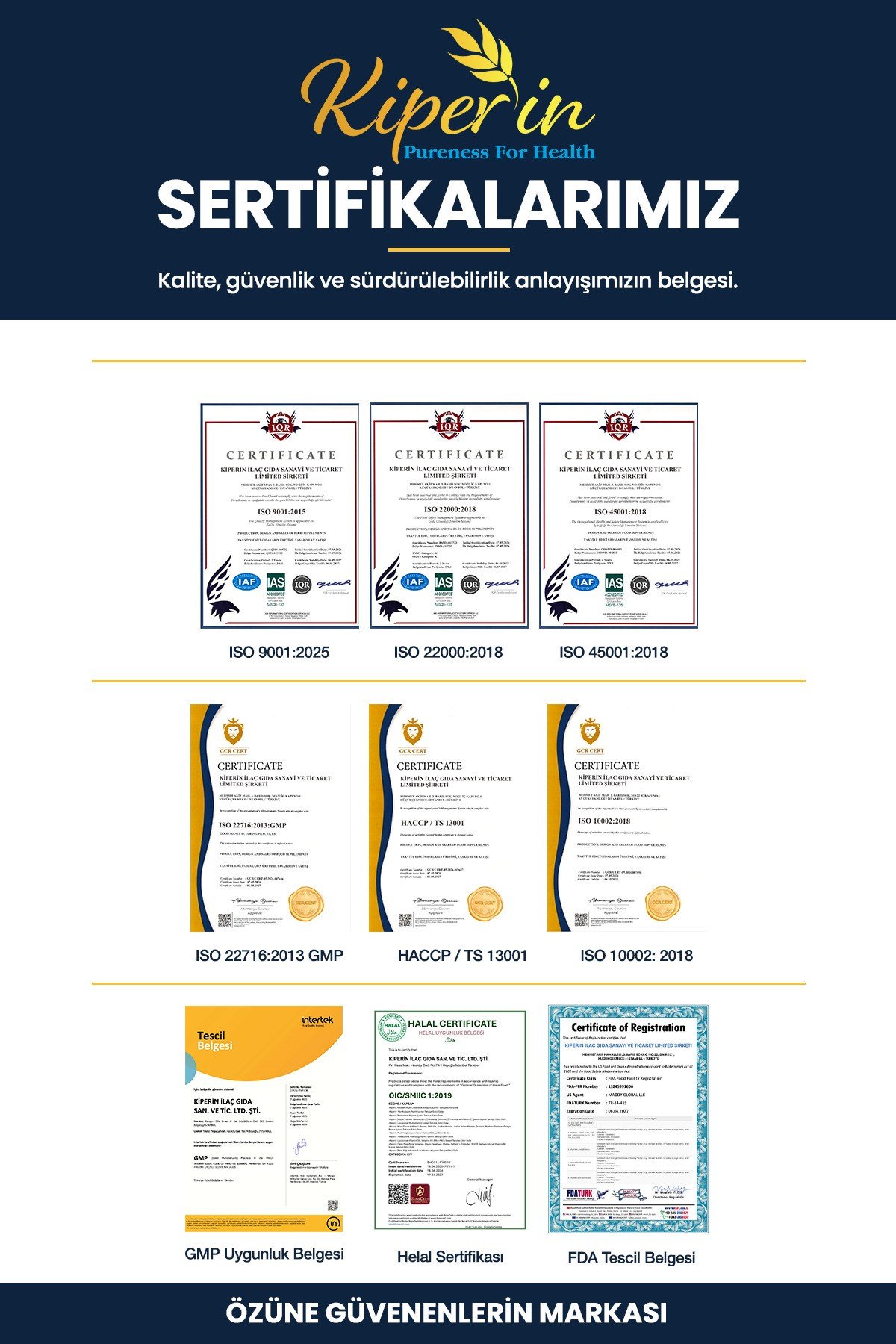Bromelain(2500 GDU) & Papain - Doğal Proteolitik Enzim (30Kapsül & 700Mg)