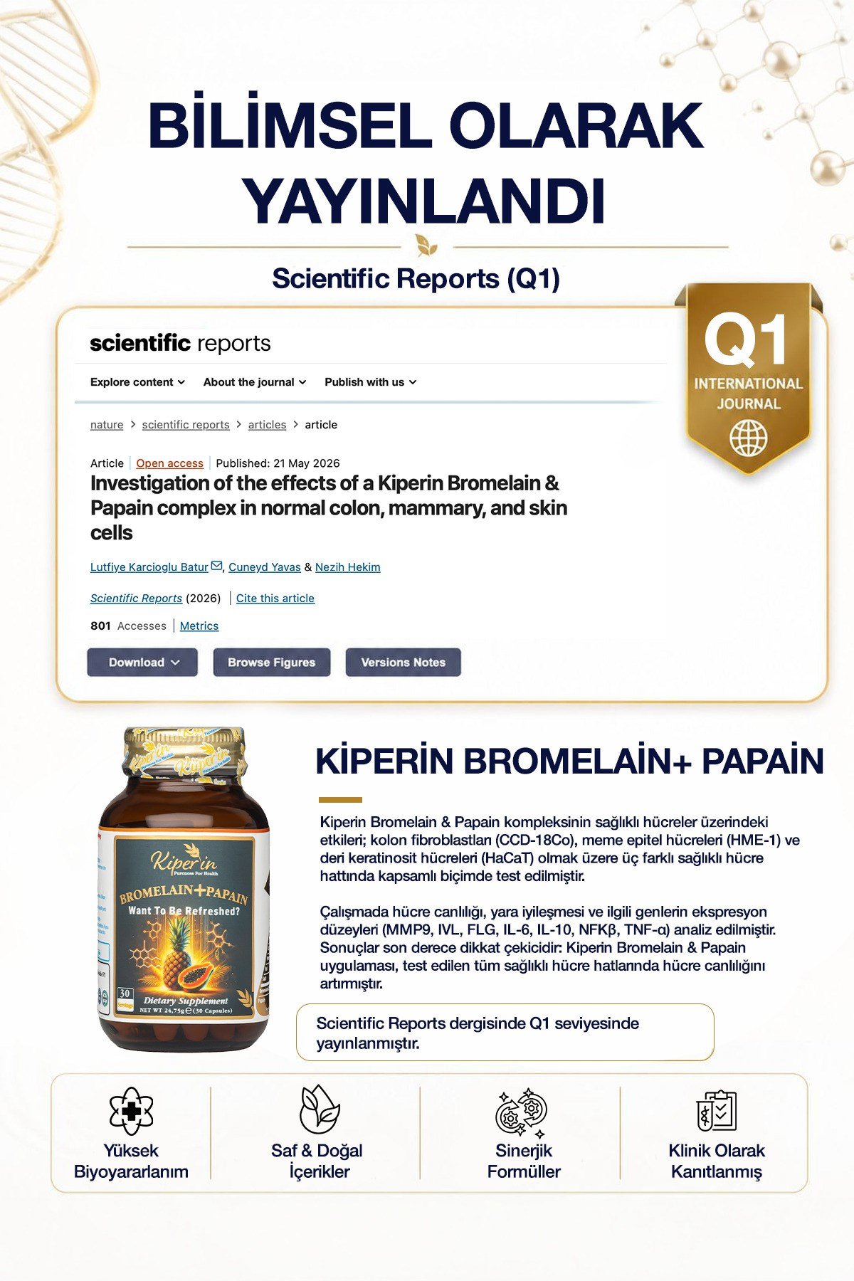 Bromelain(2500 GDU) & Papain - Doğal Proteolitik Enzim (30Kapsül & 700Mg)