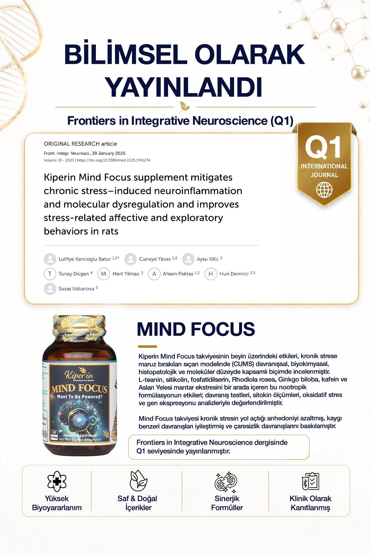 Mind Focus Aslan Yelesi Mantarı, Sitikolin, Rhodiola, L-Theanin .. (1440mg) | Akıllı Gıda Takviyesi