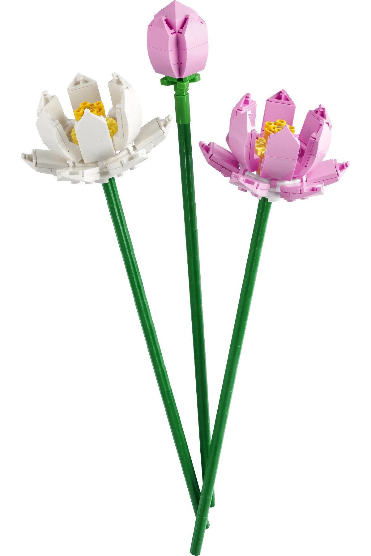 ® Botanicals Lotus Çiçekleri 40647 – 8 Yaş ve Üzeri Çocuklar için Oyuncak Yapım Seti (220 Parça)