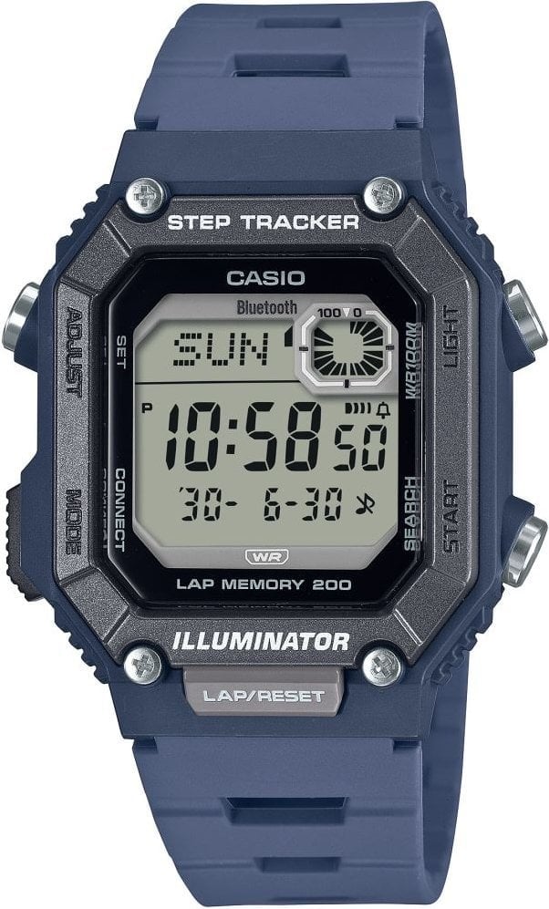 Casio Standart Erkek Kol Saati WS-B1000-2AVDF