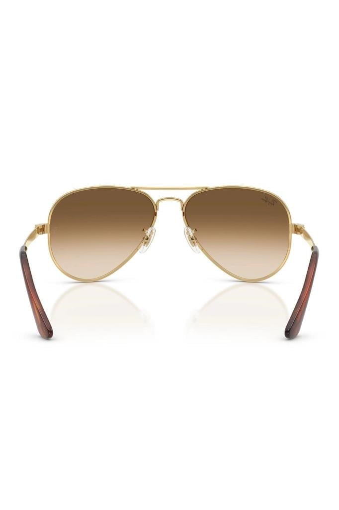 Ray-Ban RB 3925 001/51 .58 Unisex Güneş Gözlüğü