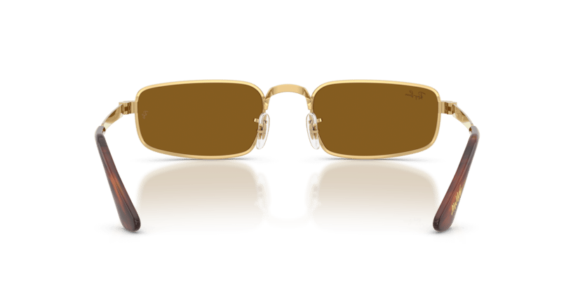 Ray-Ban RB 3927 001/33 .54 Güneş Gözlüğü