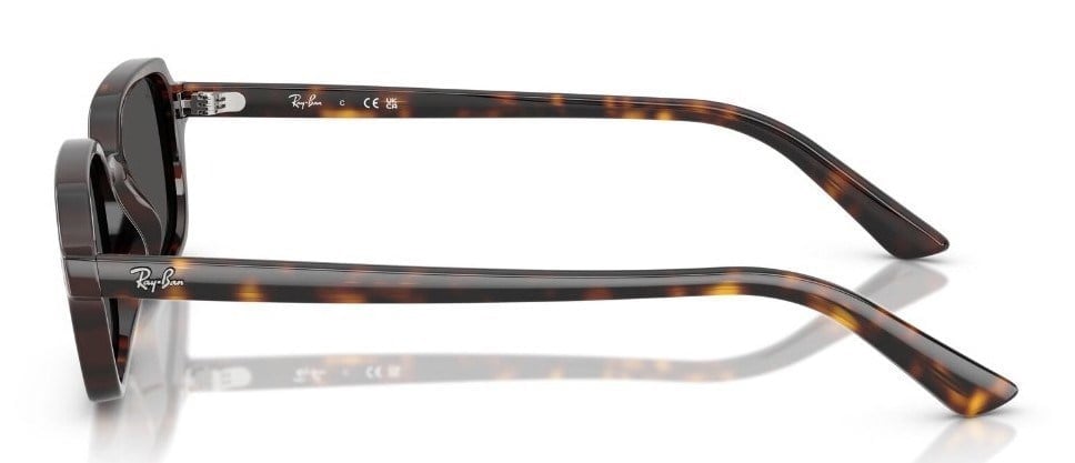 Ray-Ban RB 4455 135987 .52 Unisex Güneş Gözlüğü