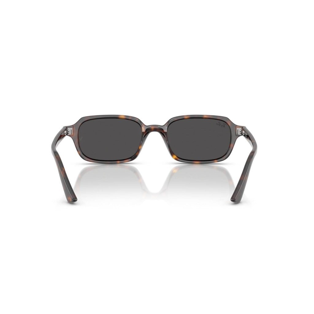 Ray-Ban RB 4455 135987 .49 Unisex Güneş Gözlüğü