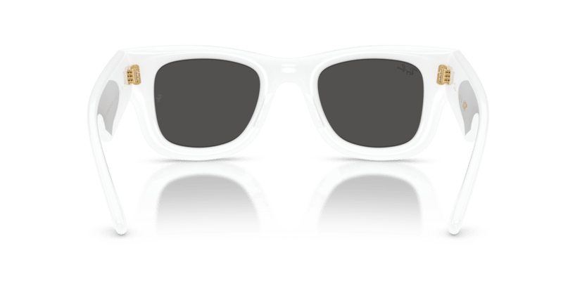 Ray-Ban RB 4940 671/87 .50 Güneş Gözlüğü