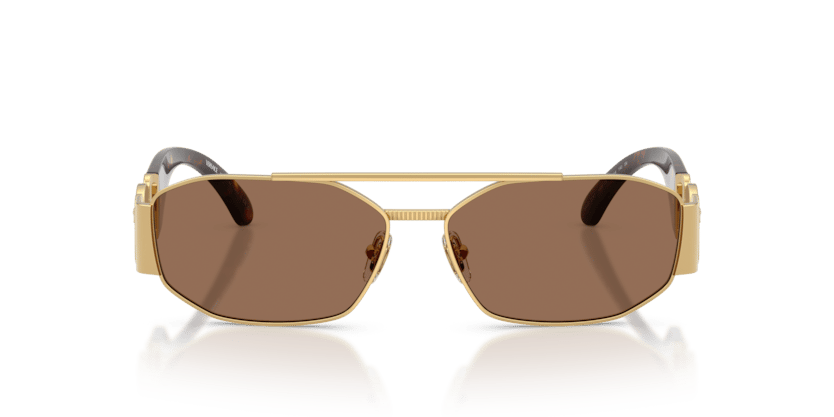 Versace VE 2287 100273 .58 Erkek Güneş Gözlüğü