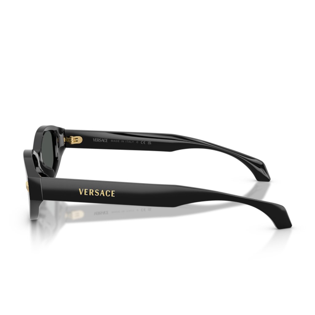 Versace VE 4512D GB1/87 .54 Güneş Gözlüğü