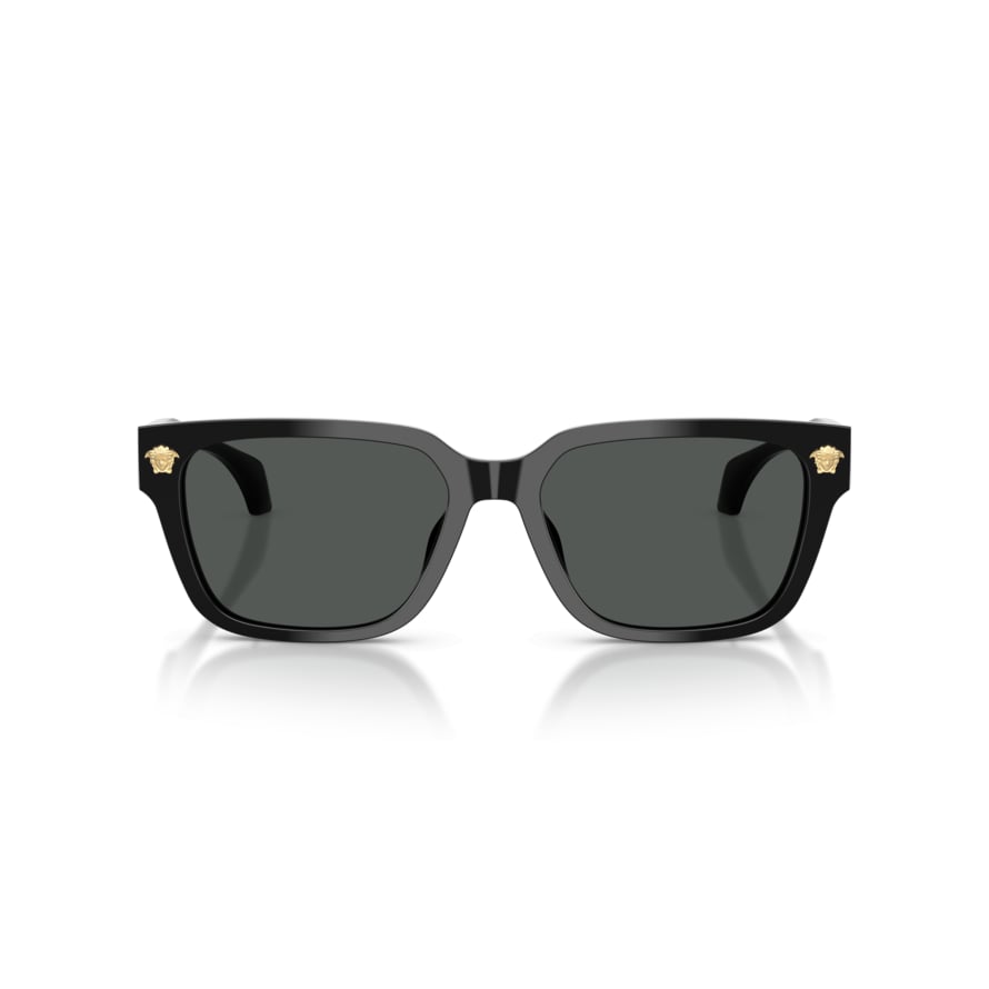 Versace VE 4513D GB1/87 .56 Güneş Gözlüğü