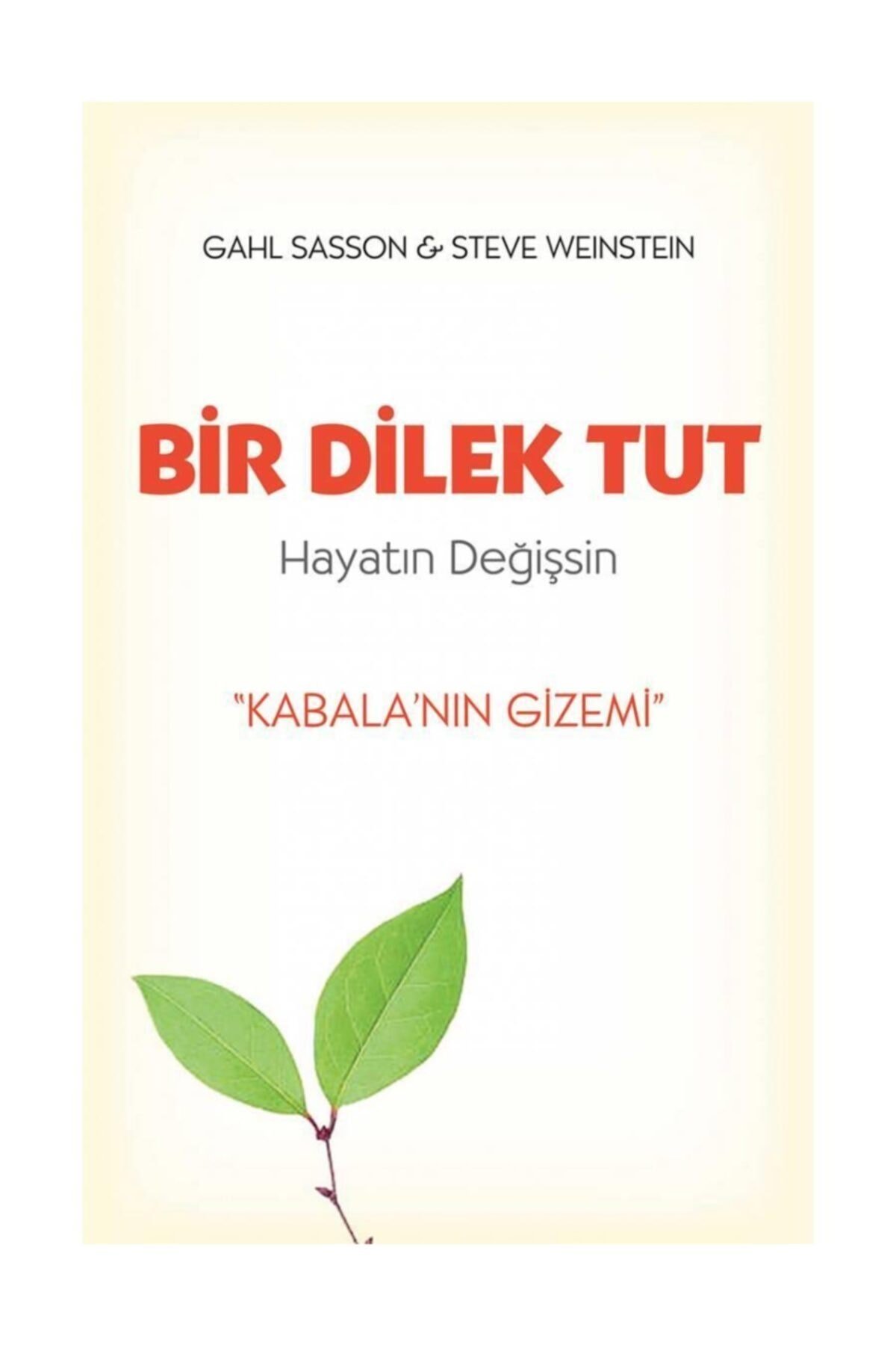 Bir Dilek Tut & Kabala'nın Gizemi