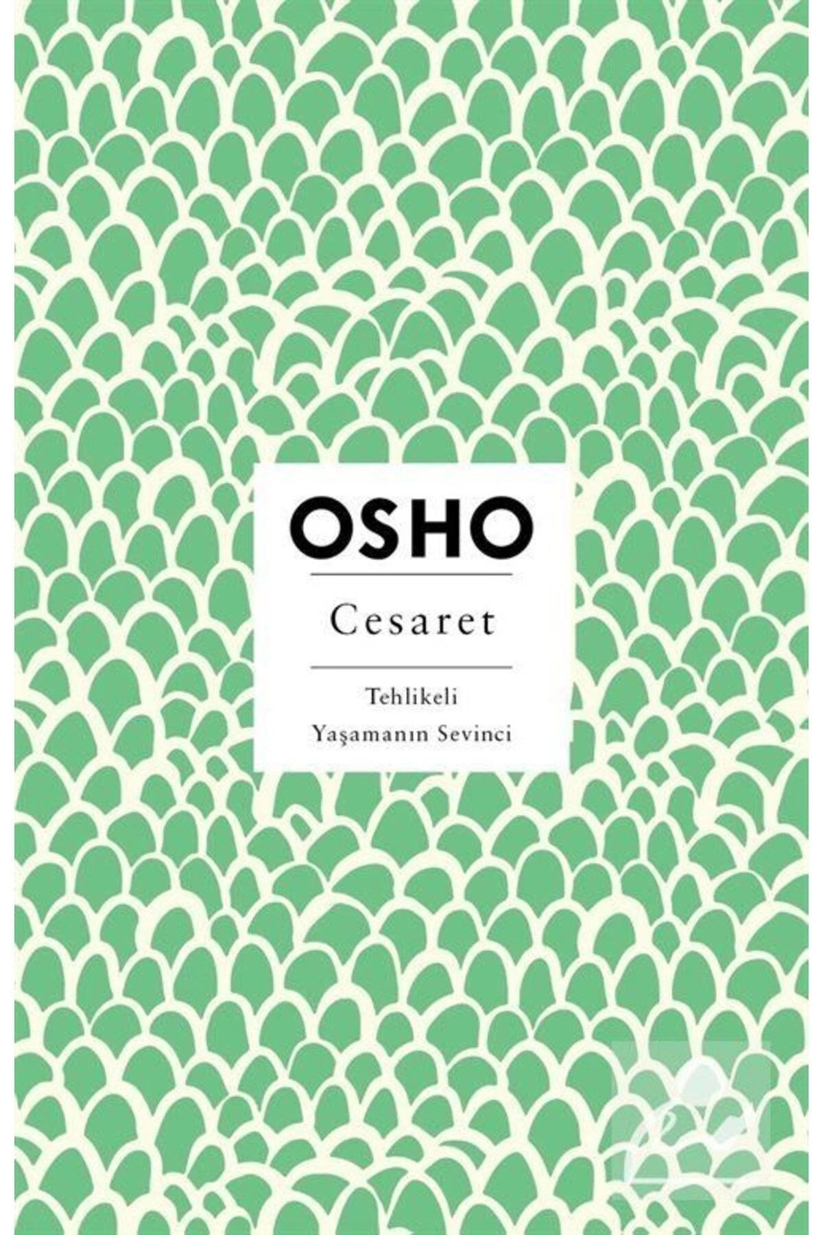 Cesaret & Tehlikeli Yaşamanın Sevinci