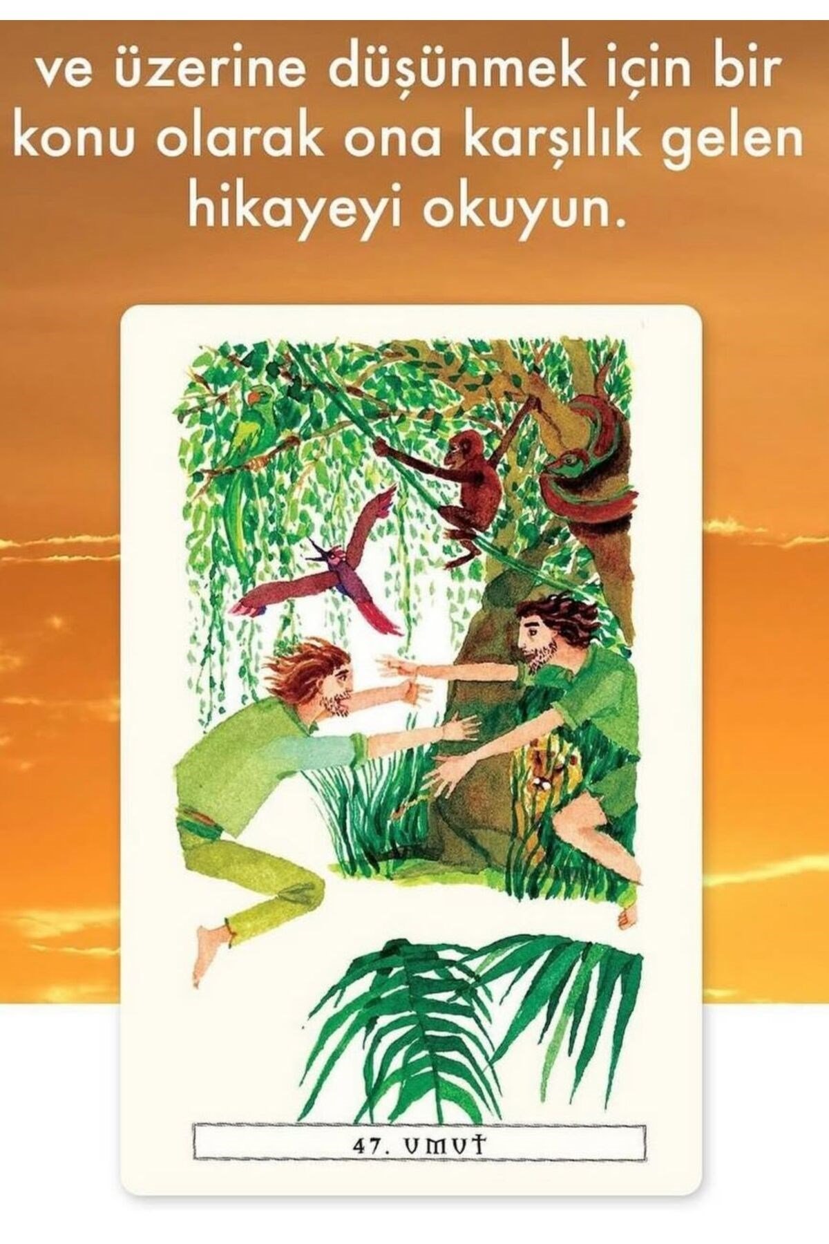 Dönüşüm Tarotu - OSHO