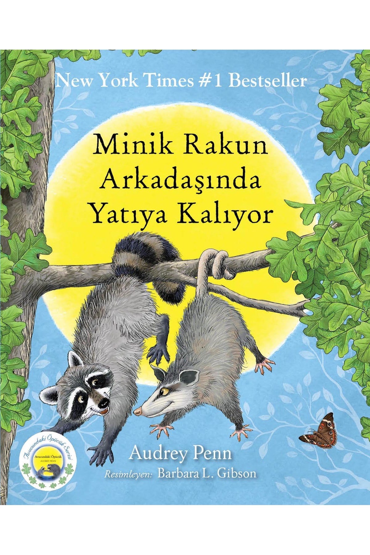 Minik Rakun Arkadaşında Yatıya Kalıyor