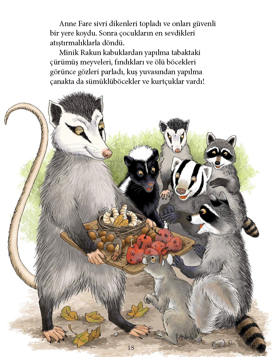 Minik Rakun Arkadaşında Yatıya Kalıyor