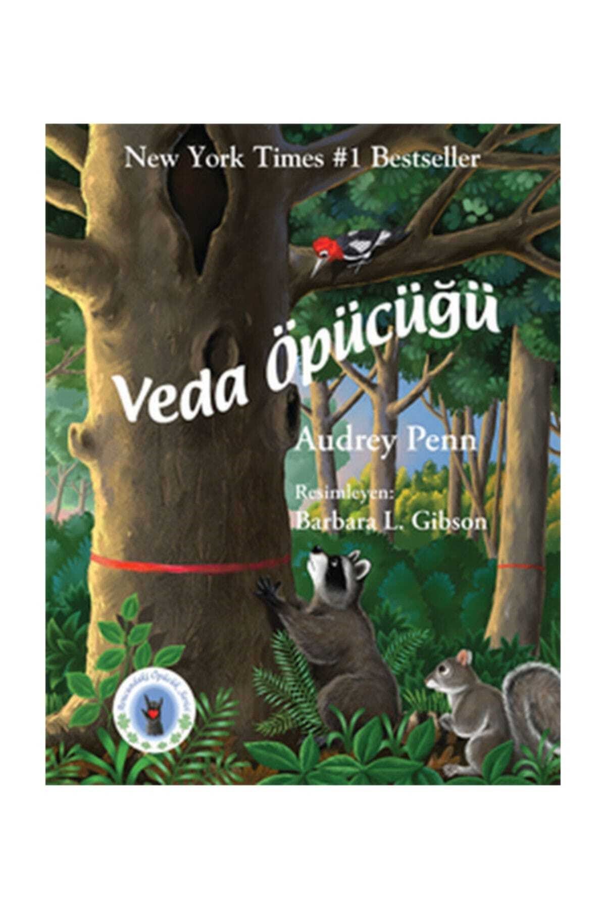 Minik Rakun Veda Öpücüğü