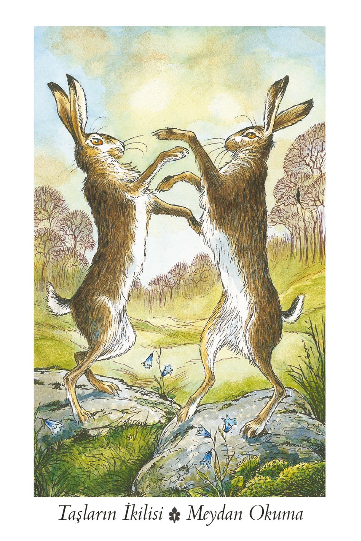 Wildwood Tarot