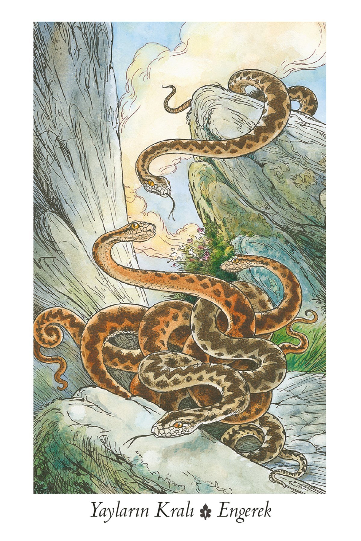 Wildwood Tarot