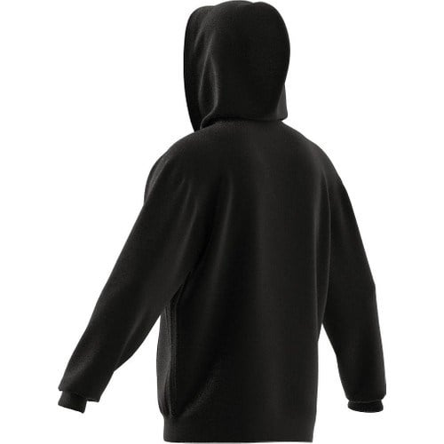 adidas BL FT HD Q3 Erkek  Sweatshirt  IW3533